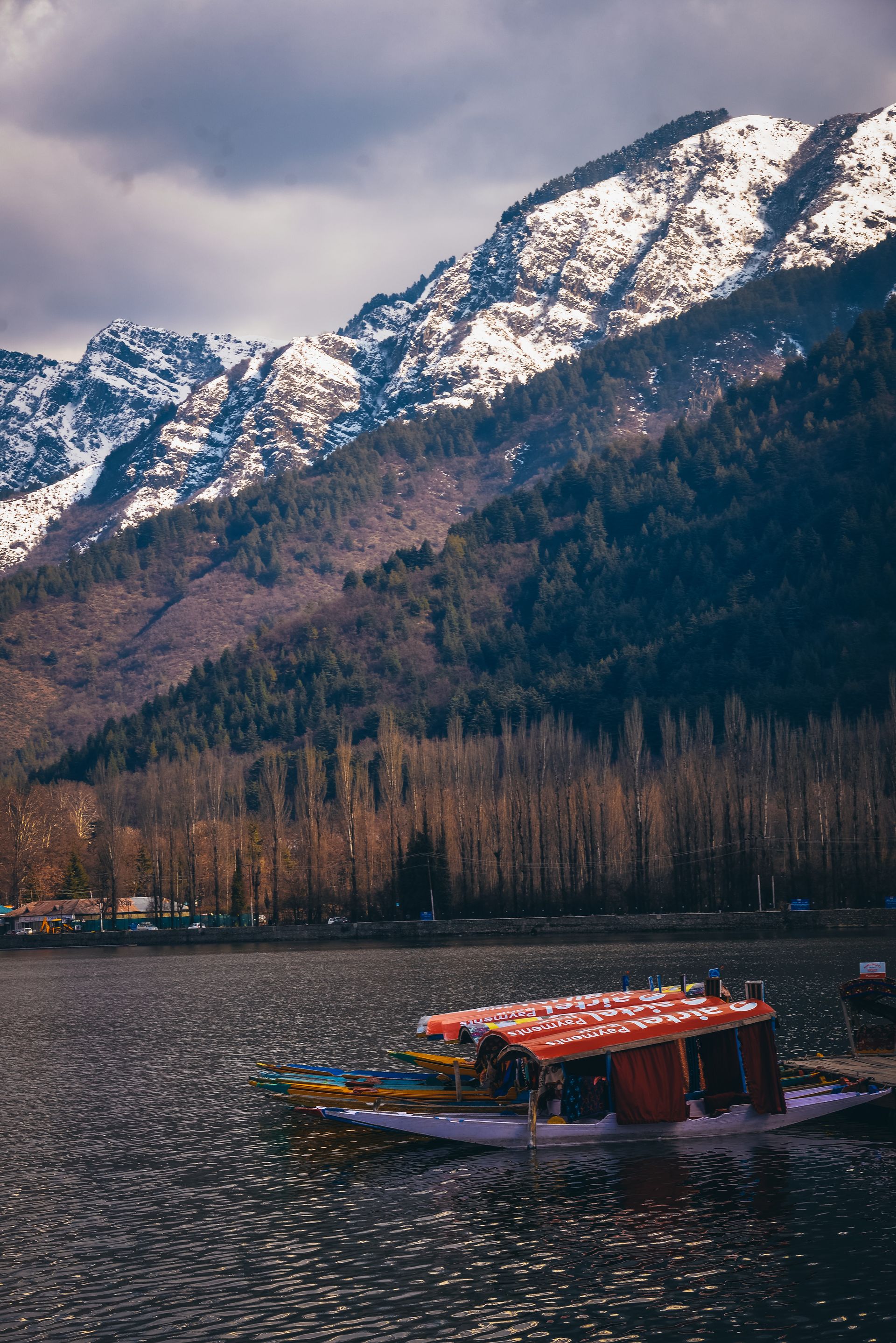 ️ Kashmir Paradise: 5N/6D Dream Package — photo 3