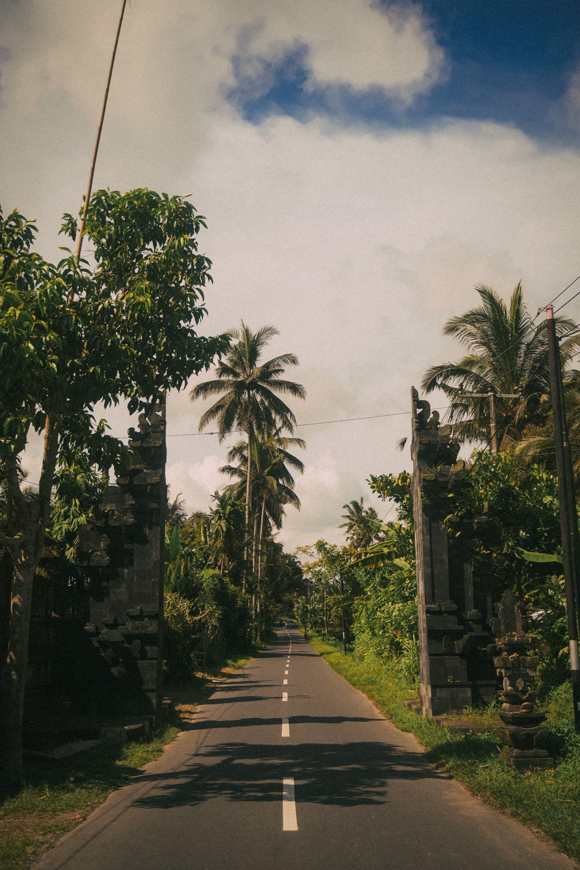 Bali view 1