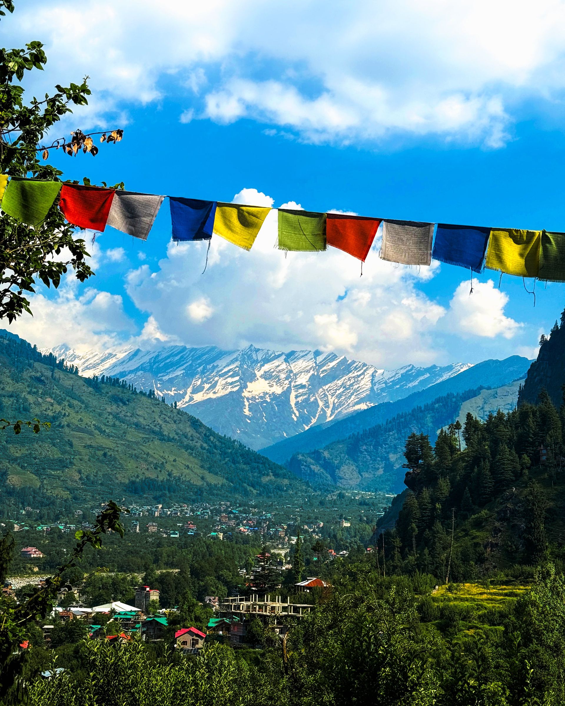 ️ Shimla–Manali Hill Escape: 5N/6D Package — photo 3