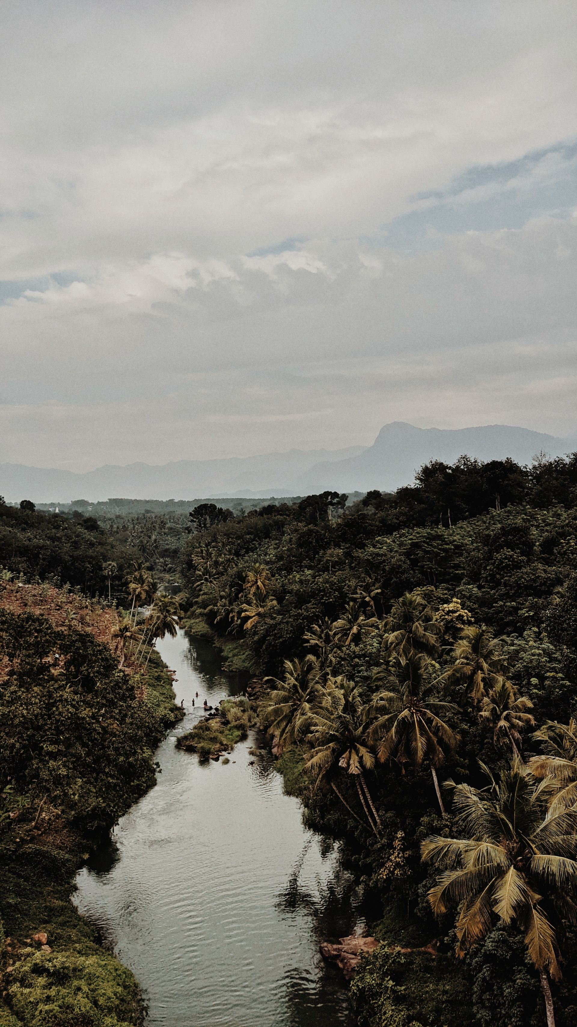 Kerala Coastal Bliss: Cochin, Alleppey & Varkala — photo 1