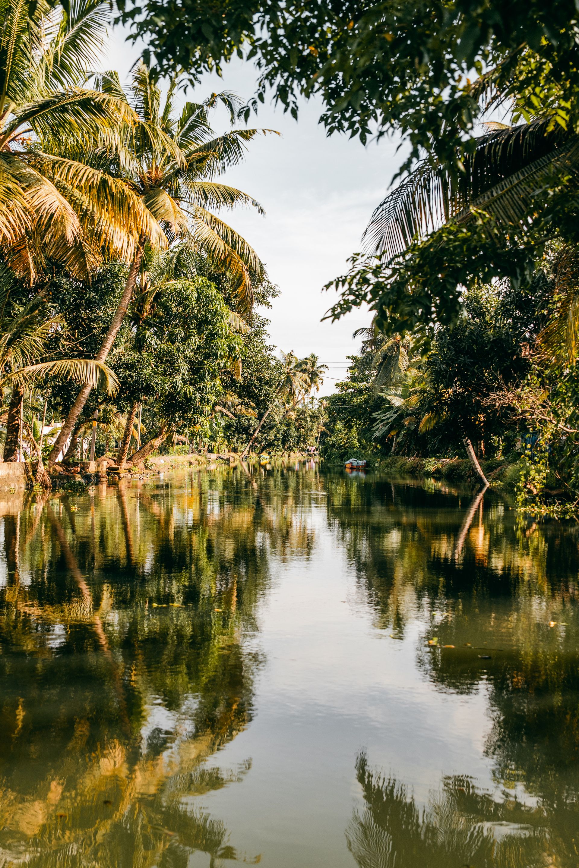 Kerala Coastal Bliss: Cochin, Alleppey & Varkala — photo 2
