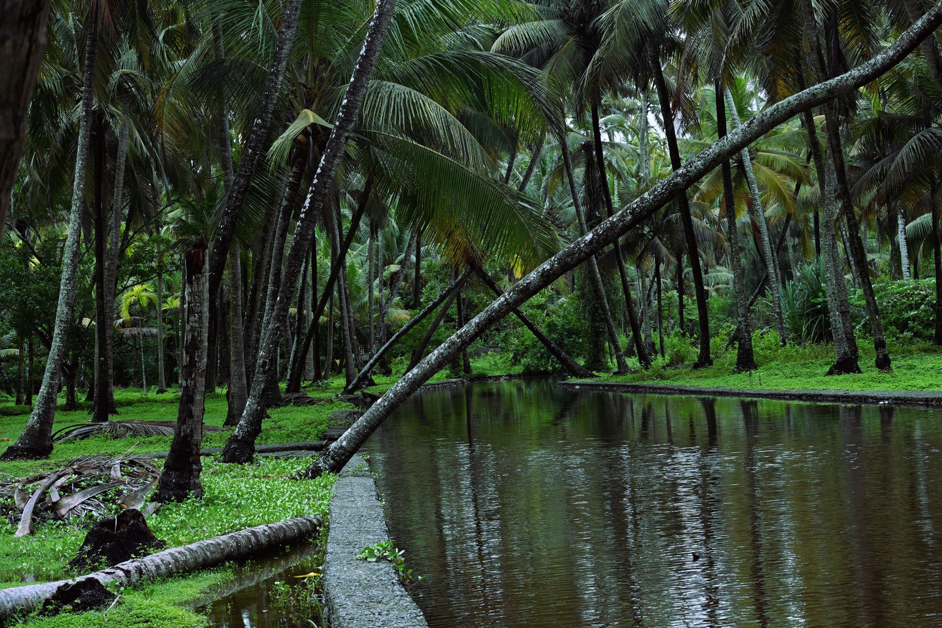 Kerala Coastal Bliss: Cochin, Alleppey & Varkala — photo 3